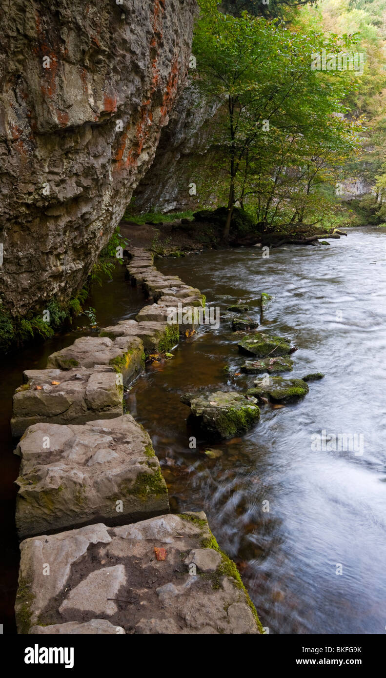 Stepping stones on River Wye at Chee Dale near Bakewell in the Peak District National Park Derbyshire England UK Stock Photo