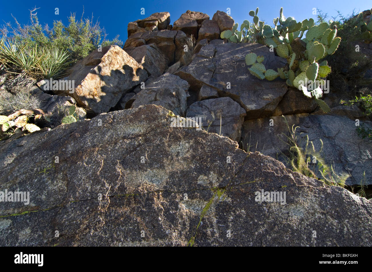 Petroglyphs survive on basalt boulders, along the Badger Springs Trail, Agua Fria National Monument, Arizona Stock Photo