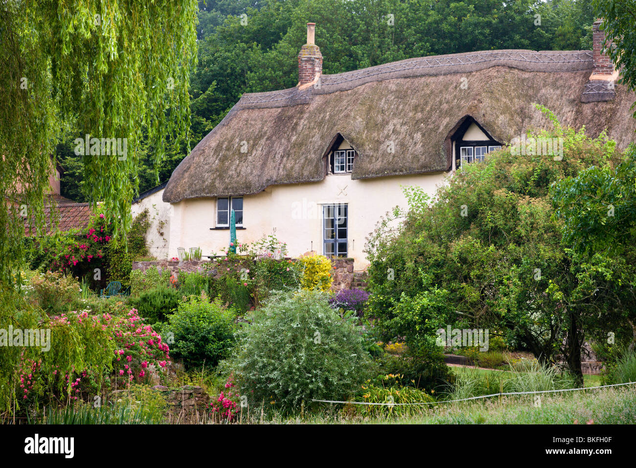 Pretty thatched cottage near Crediton, Devon, England. Summer (July) 2009 Stock Photo