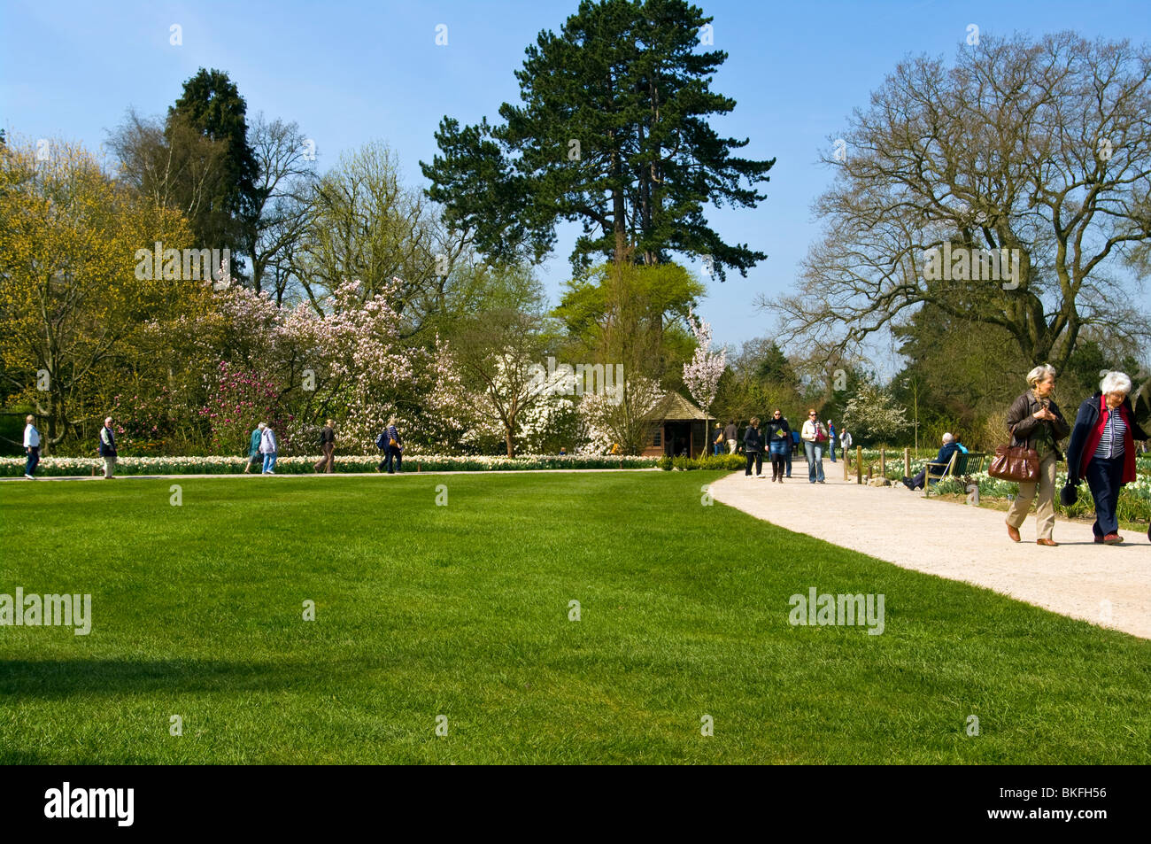 People Walking In RHS Wisley Gardens Surrey England Stock Photo