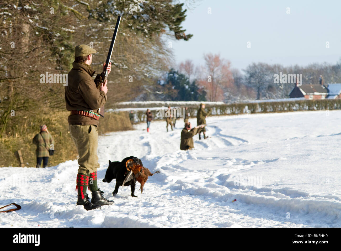 Guns shooting against a wood in a snow covered field.  Labrador gun dog running retrieving pheasant. Stock Photo