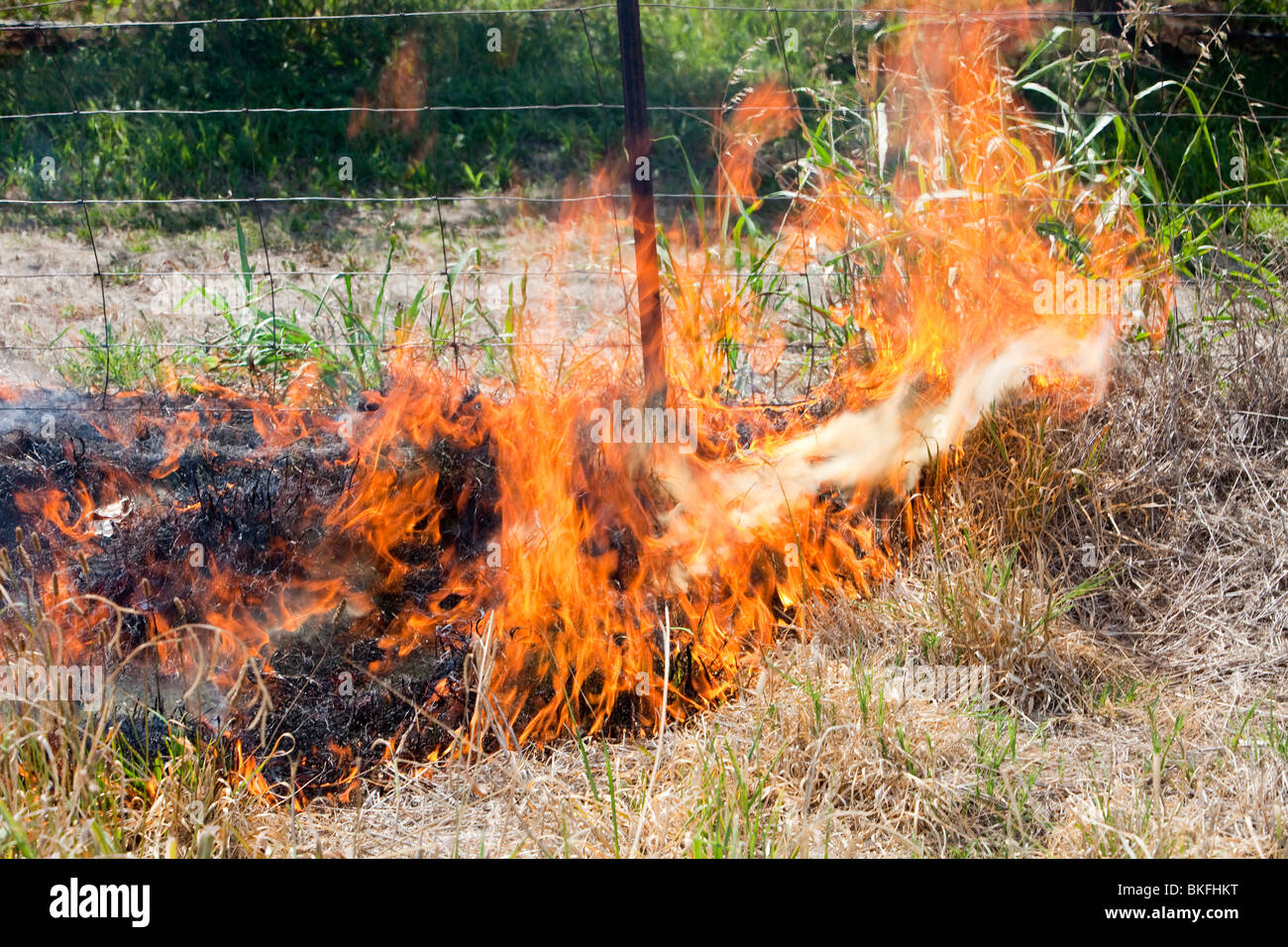 A roadside fire near Shepperton, Victoria, Australia, probably started by a motorist throwing a cigarette out of the window. Stock Photo