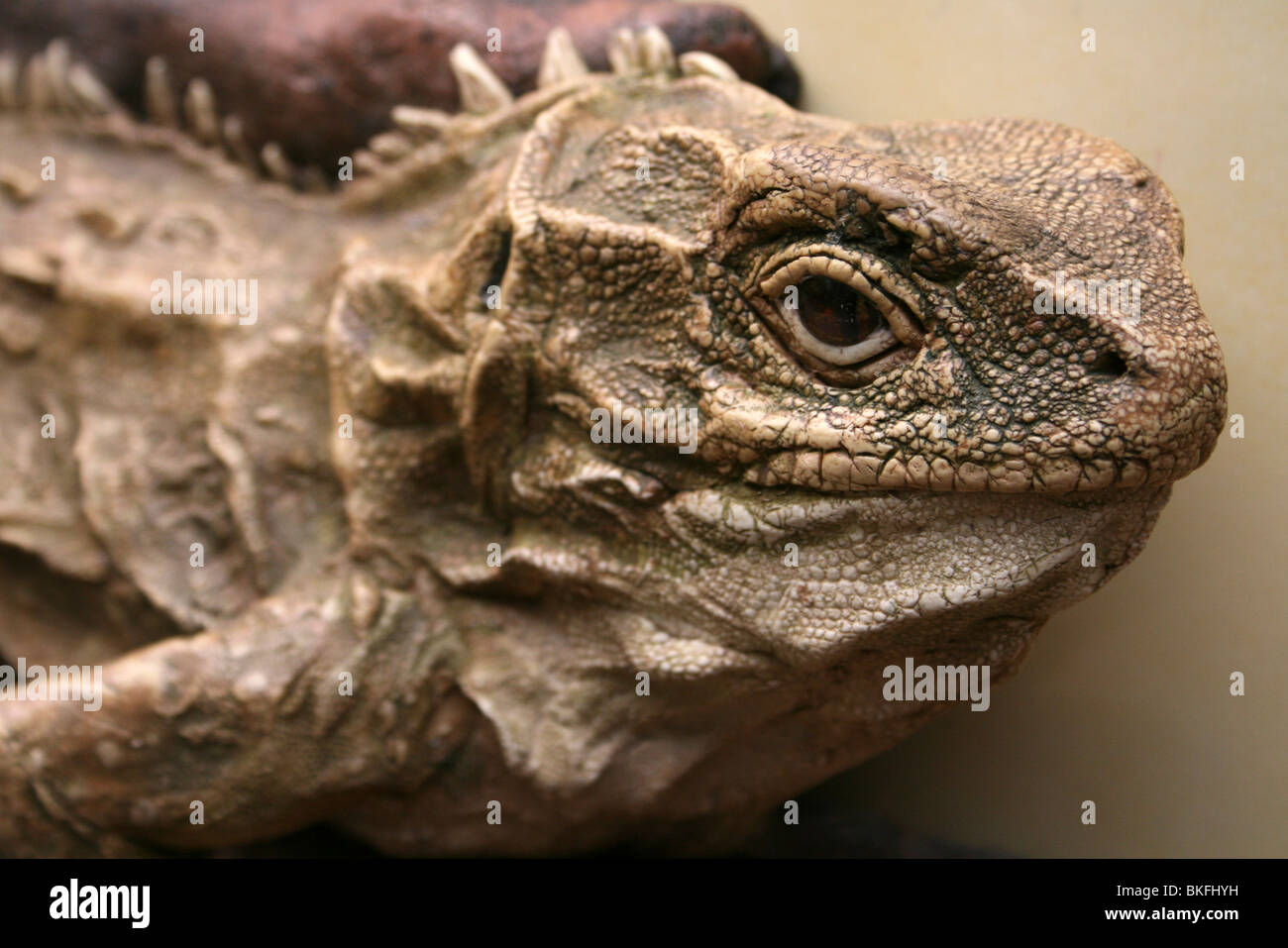 Tuatara Sculpture Taken at Chester Zoo, UK Stock Photo