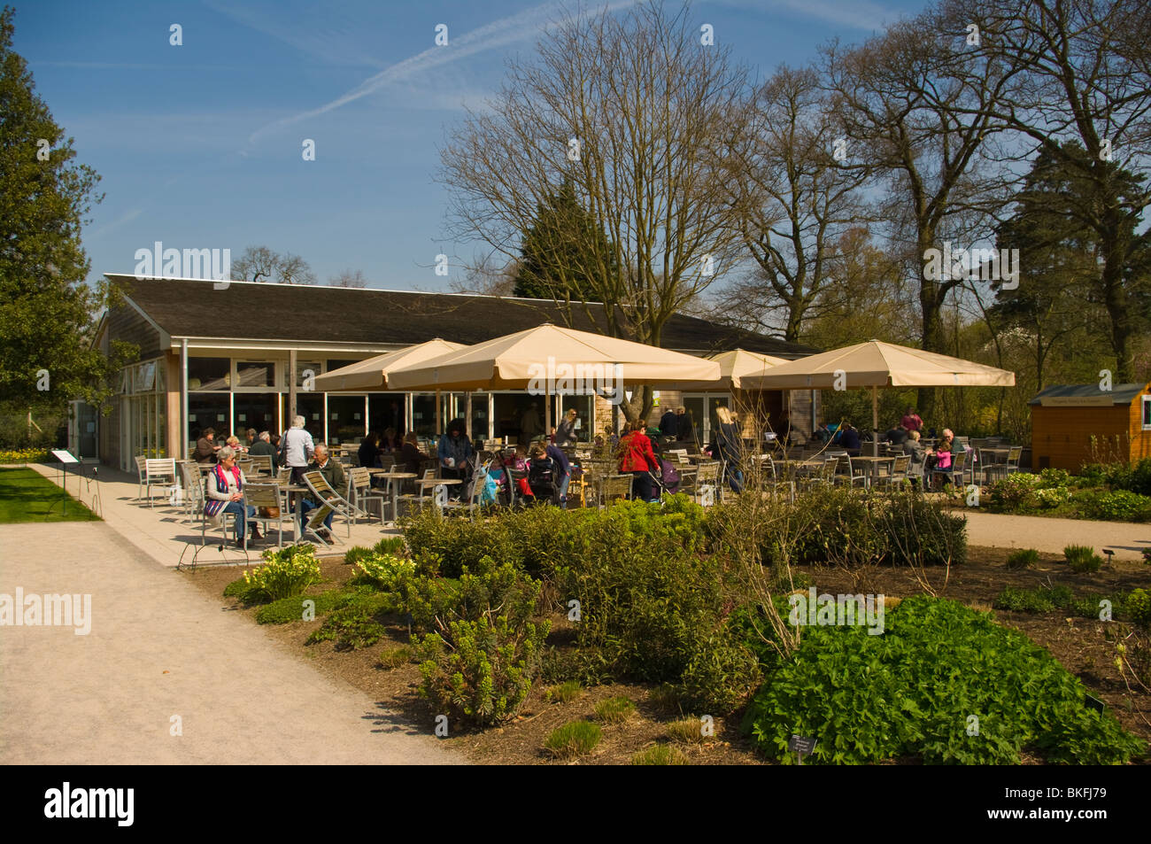 Patrons In The Outside Area Of The Glasshouse Cafe RHS Wisley Gardens Surrey England Stock Photo