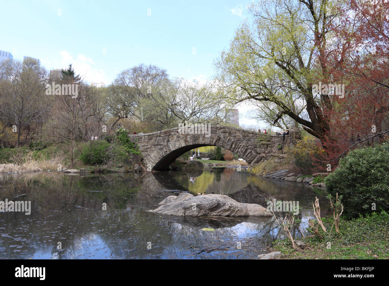 Park spring manhattan city urban tree hi-res stock photography and ...