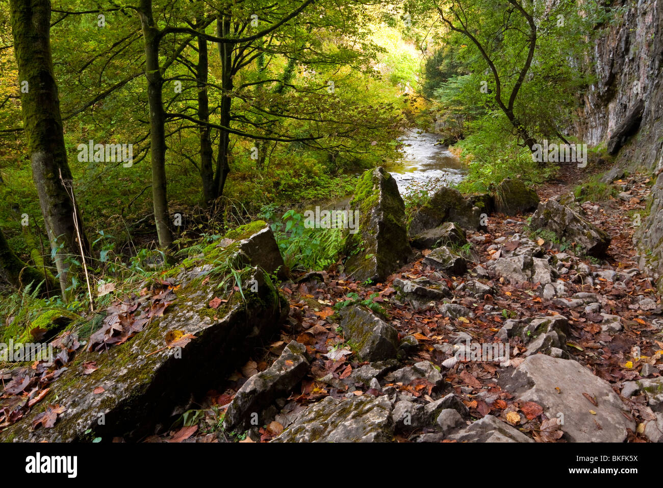 River Wye with rocks in foreground at Chee Dale near Bakewell in the Peak District National Park Derbyshire England UK Stock Photo