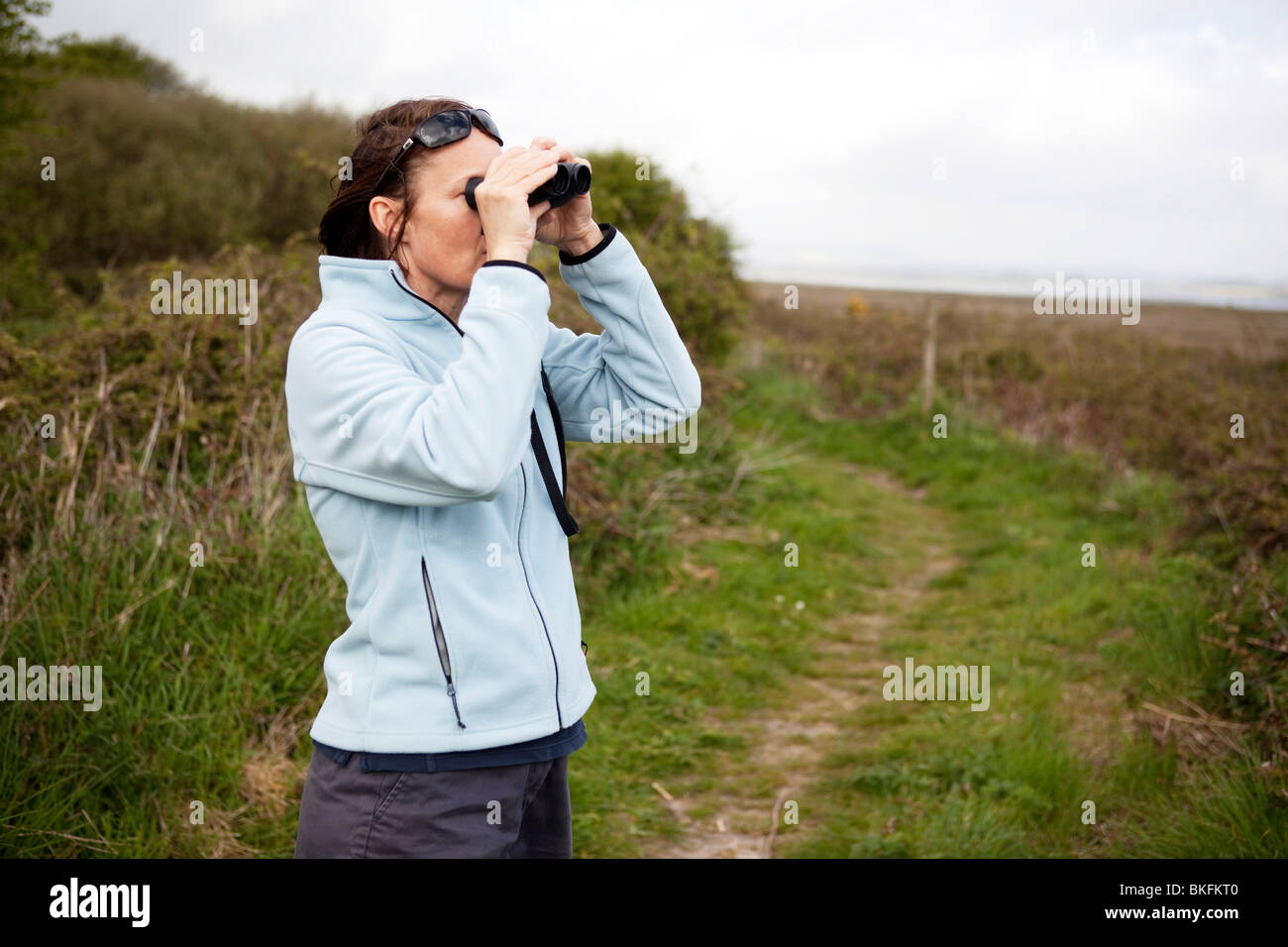Woman bird watching holding binoculars Stock Photo - Alamy
