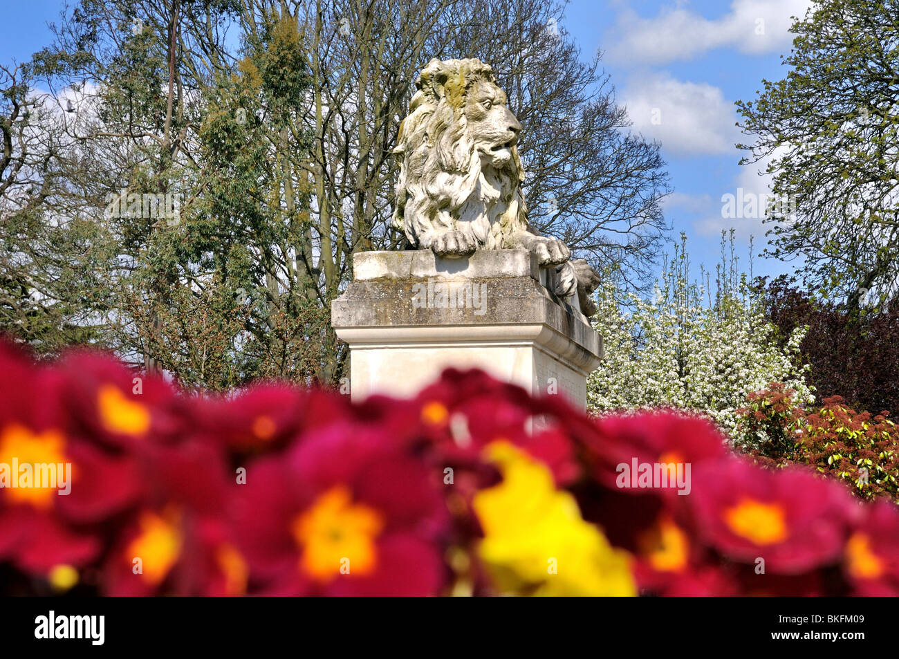 Walled Gardens at Sunbury on Thames Stock Photo Alamy
