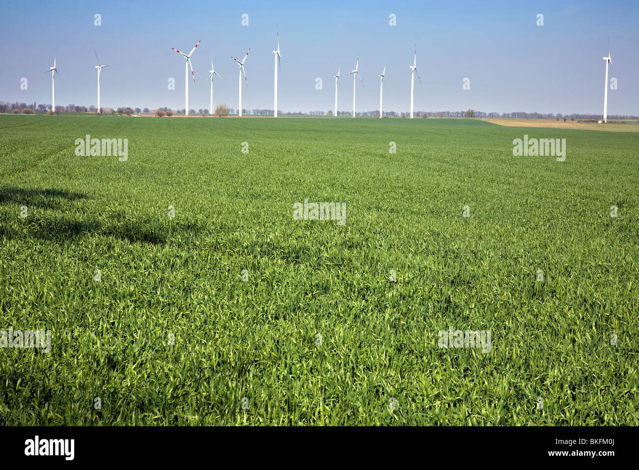 Wind Turbines viewed across farming land, near Krummensee, Barnim, Brandenburg, Germany Stock Photo