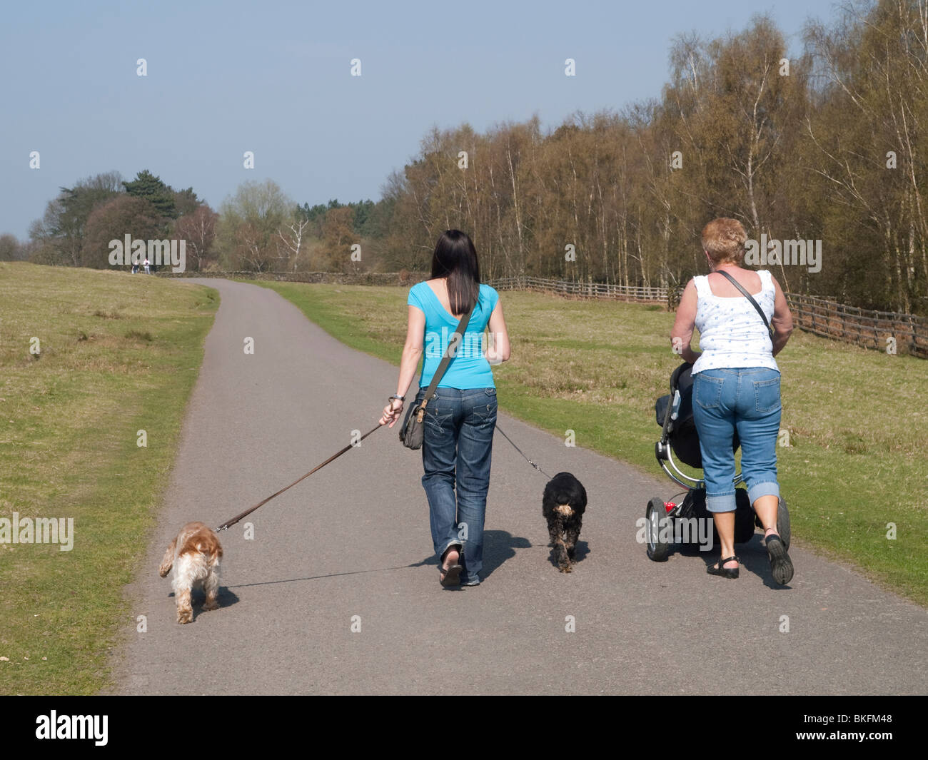 Two women walking their dogs in Bradgate Park in Leicestershire Stock ...