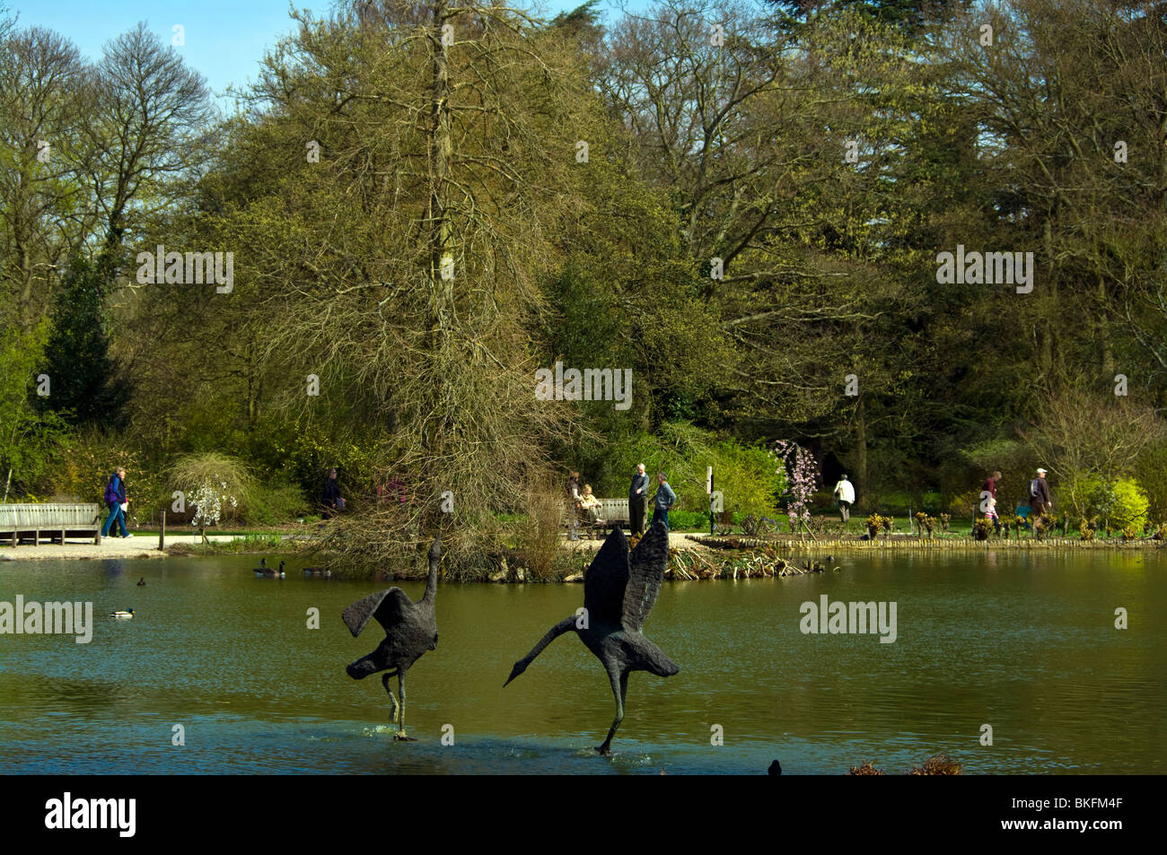 Scene At The Lake RHS Wisley Gardens Surrey England Stock Photo