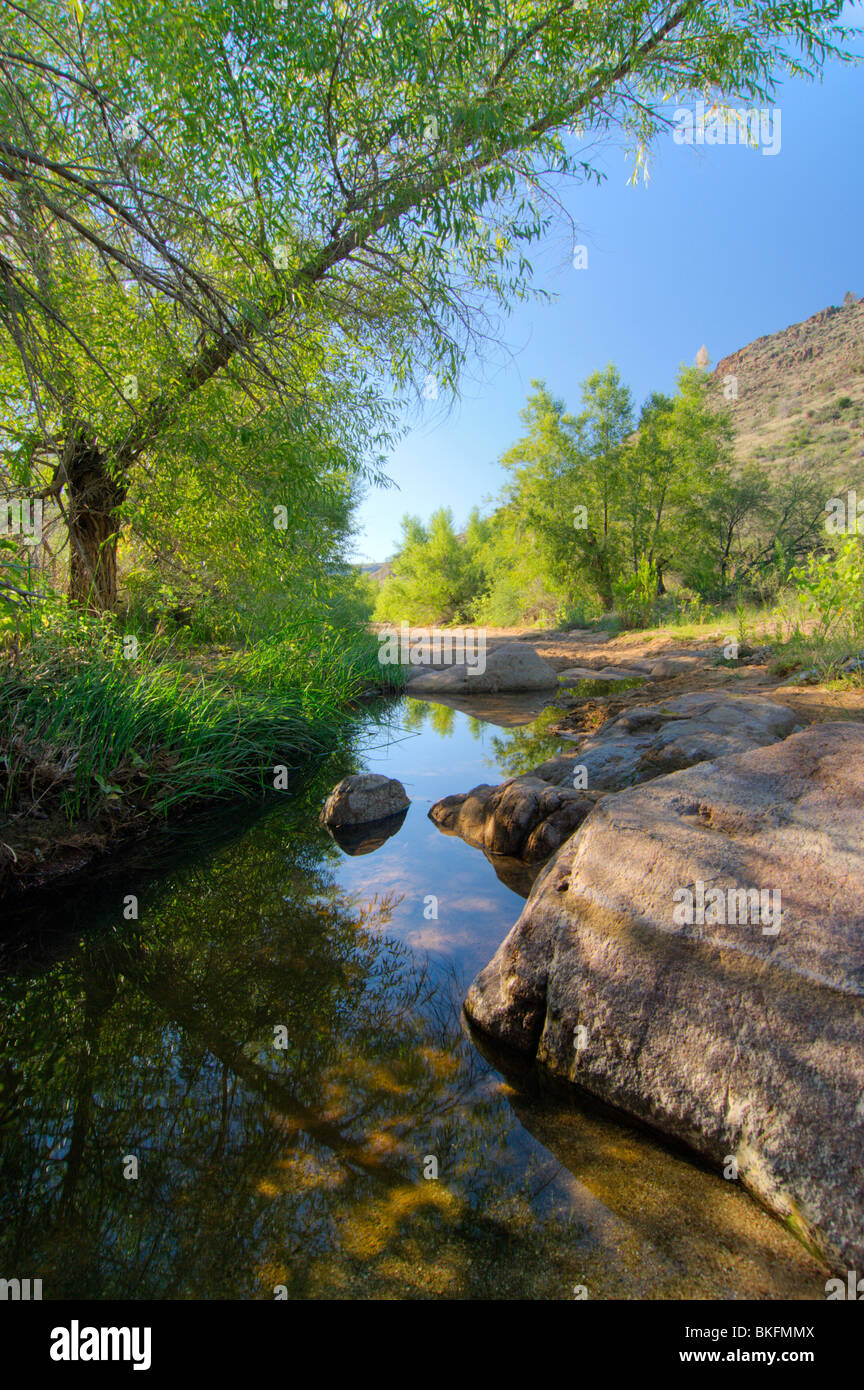 Monsoon rains provide a valuable water source along the Badger Springs Trail, Agua Fria National Monument Stock Photo