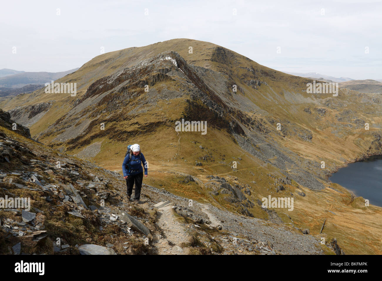 A hill walker climbs Moelwyn Bach, with the summit of Moelwyn Mawr and ridge of Craigysgafn in the background. Snowdonia. Stock Photo