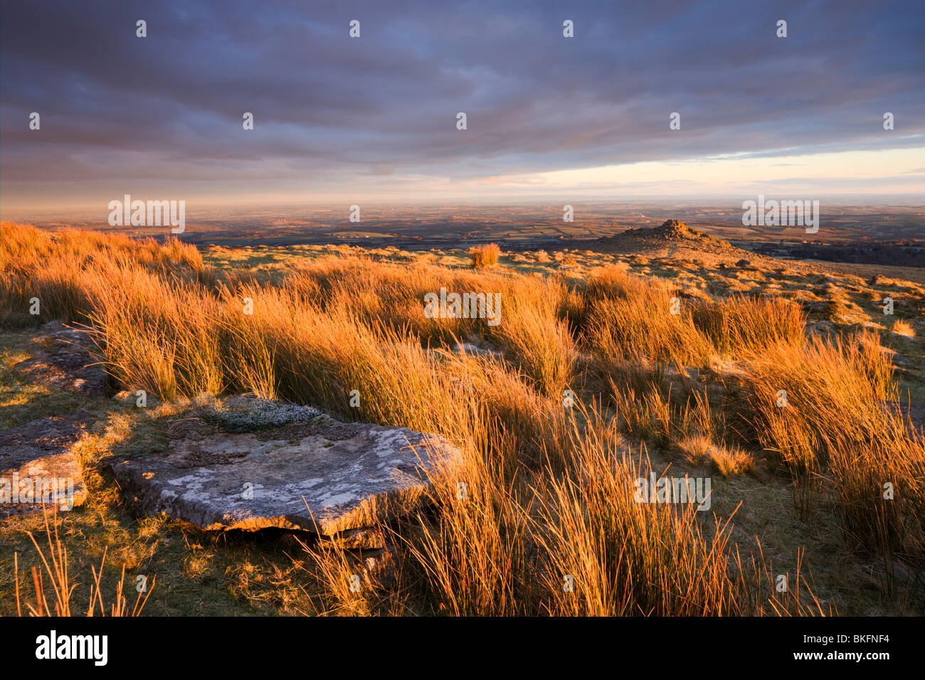 Golden light on the moorland at Belstone Tor, Dartmoor National Park