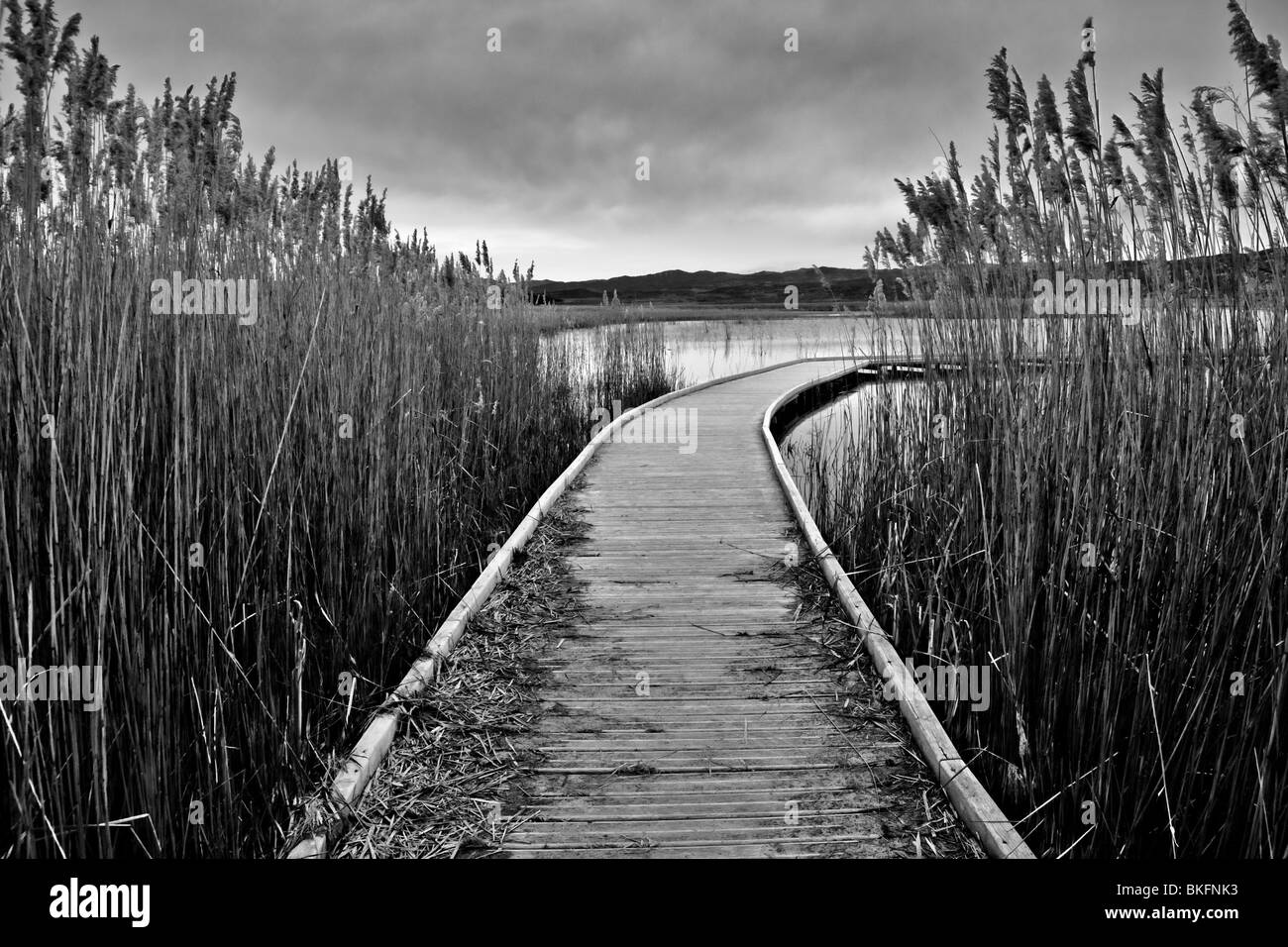 A gangway over a marsh during a cloudy day. Marsh of Pitillas, Navarra (Spain) Stock Photo