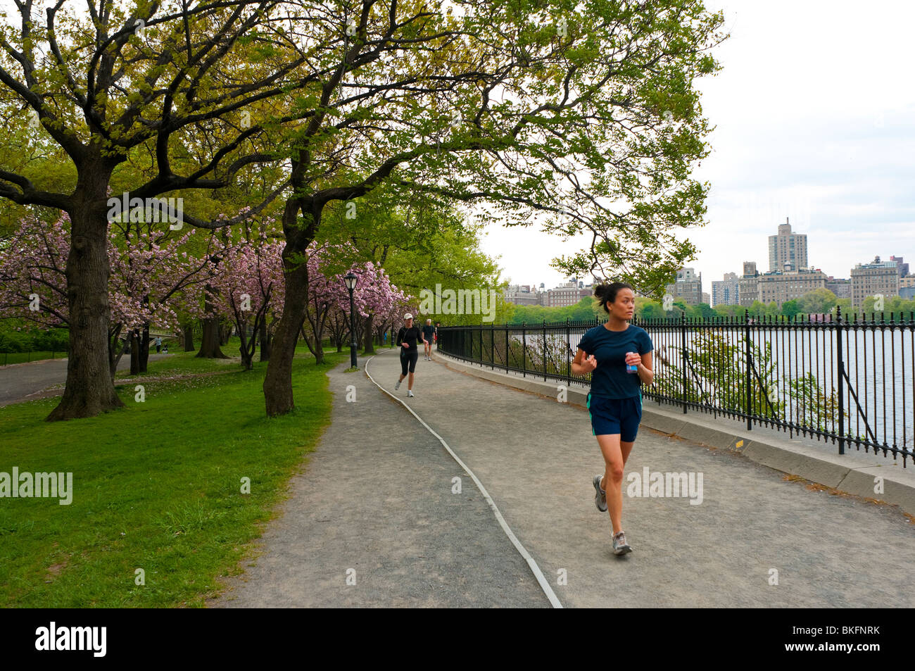 Woman running on the 1.57 mile ( 2.5 k) path that encircles the Jacqueline Kennedy Onassis Reservoir in Central Park Stock Photo