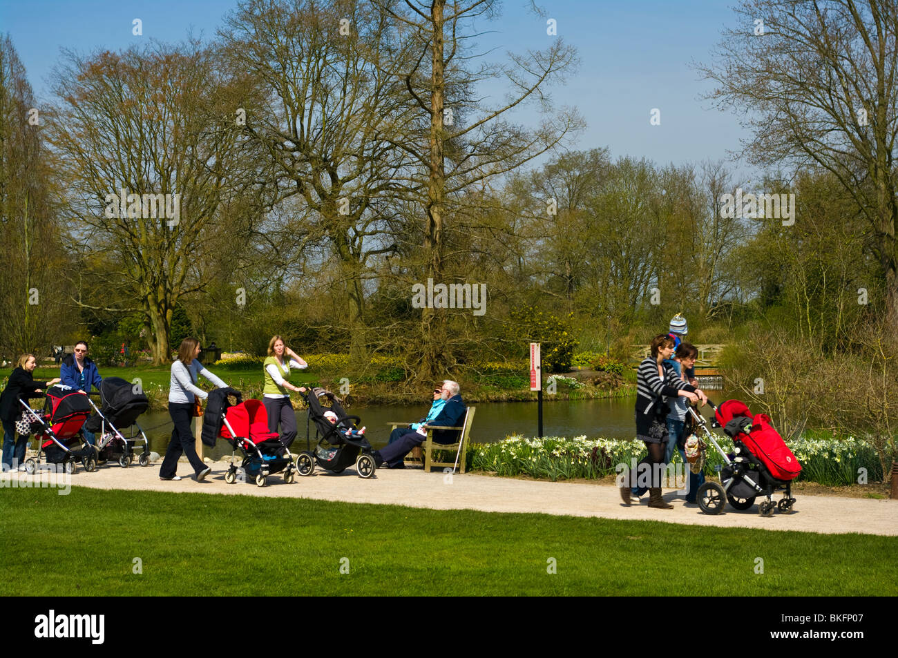 A Group Of Mothers people Pushing Pushchairs Around walking in Park RHS Wisley Gardens Surrey England Stock Photo
