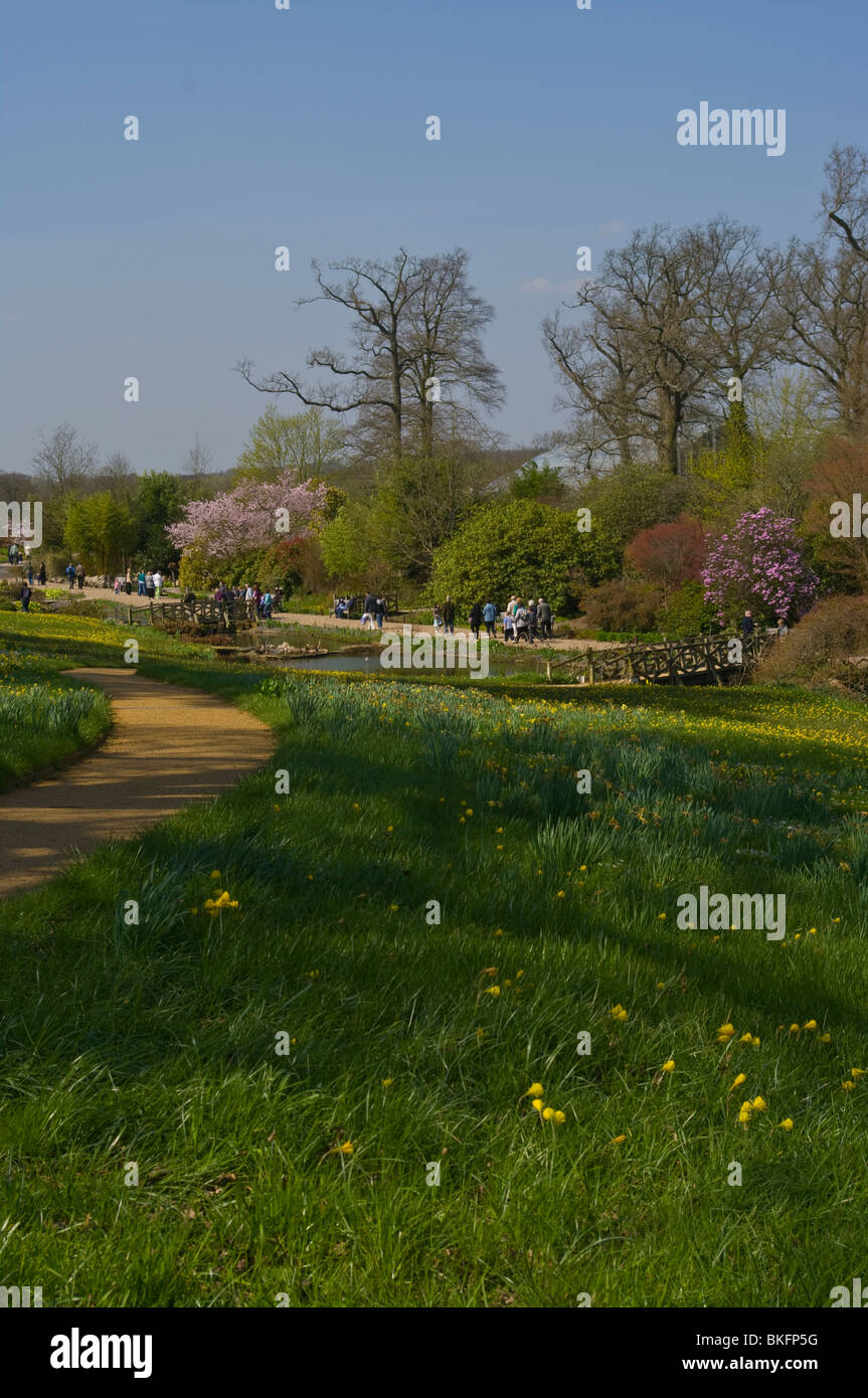 A View Over The Alpine Meadow RHS Wisley Gardens Surrey England Stock Photo
