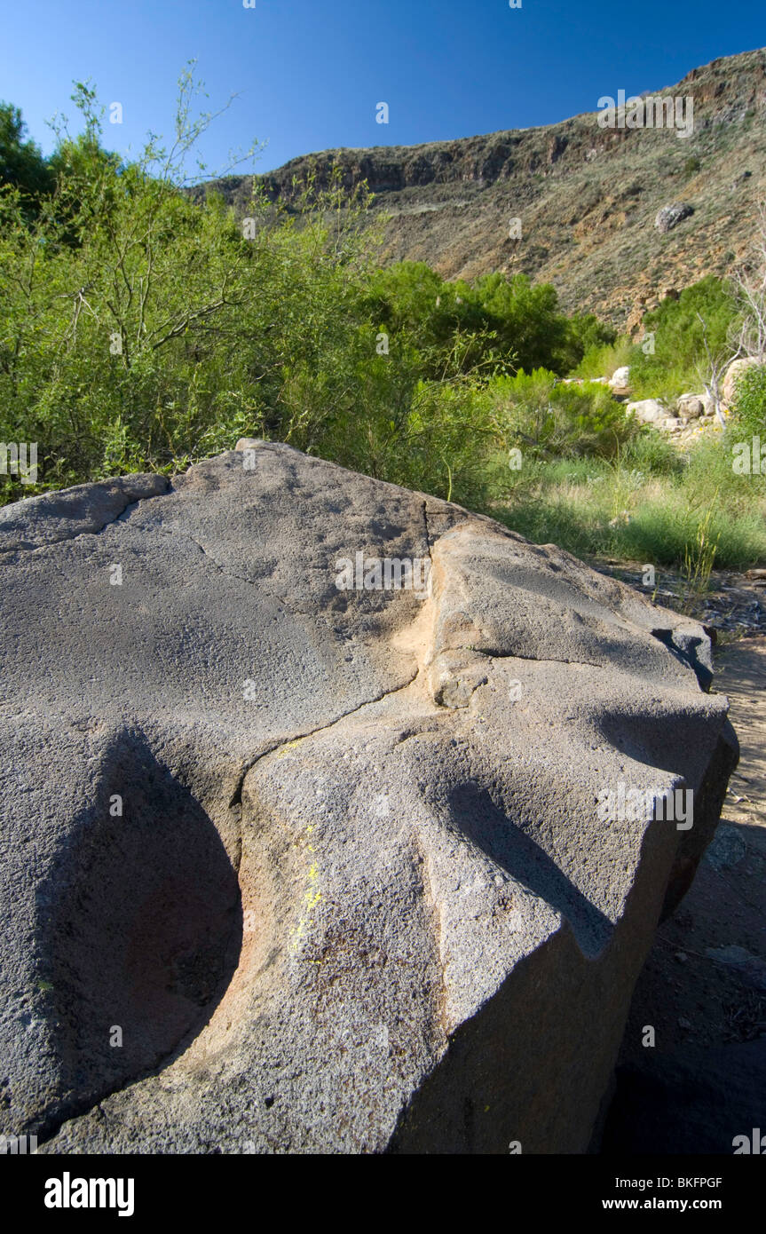 A large basalt boulder bears the marks of metates, food grinding stones, Badger Springs Trail, Agua Fria National Monument, AZ Stock Photo