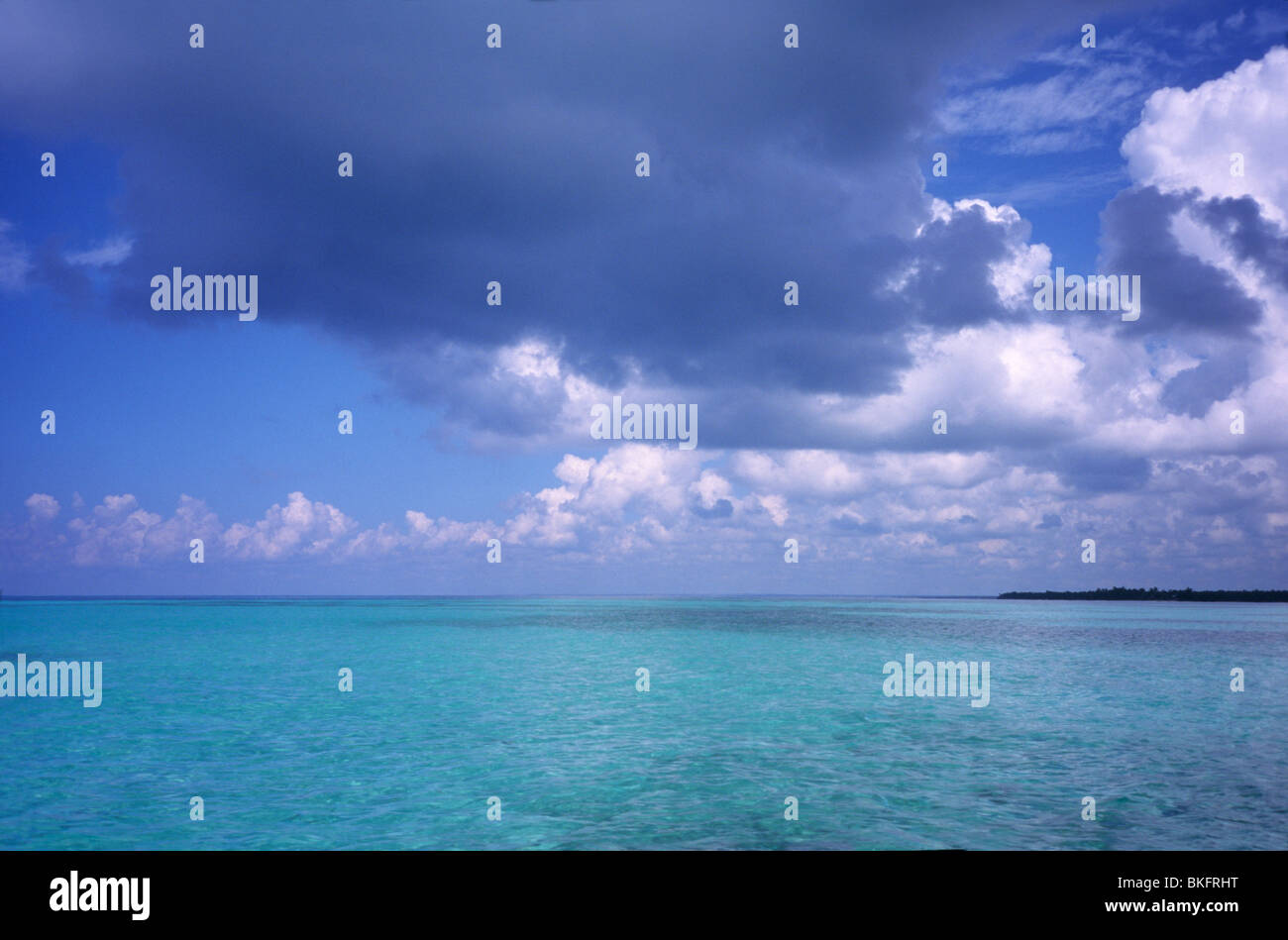 Blue blue lagoon near Saona island. Dominican Republic, Caribbean sea