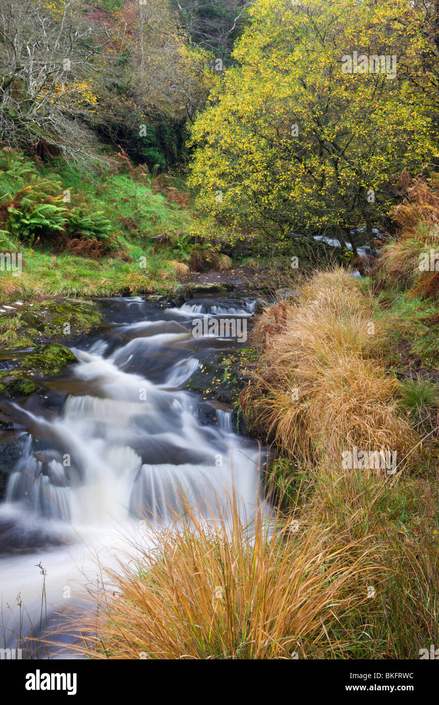 The River Caerfanell at Blaen-y-glyn, Brecon Beacons National Park, Powys, Wales, UK. Autumn (October) 2009 Stock Photo