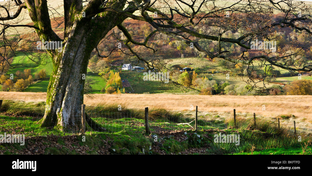Farmland in Senni Valley in the Fforest Fawr, Brecon Beacons National Park, Wales, UK. Autumn (October) 2009 Stock Photo