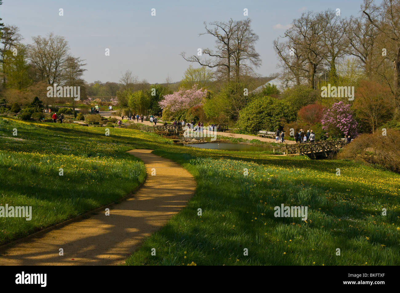 A View Over The Alpine Meadow RHS Wisley Gardens Surrey England Stock Photo