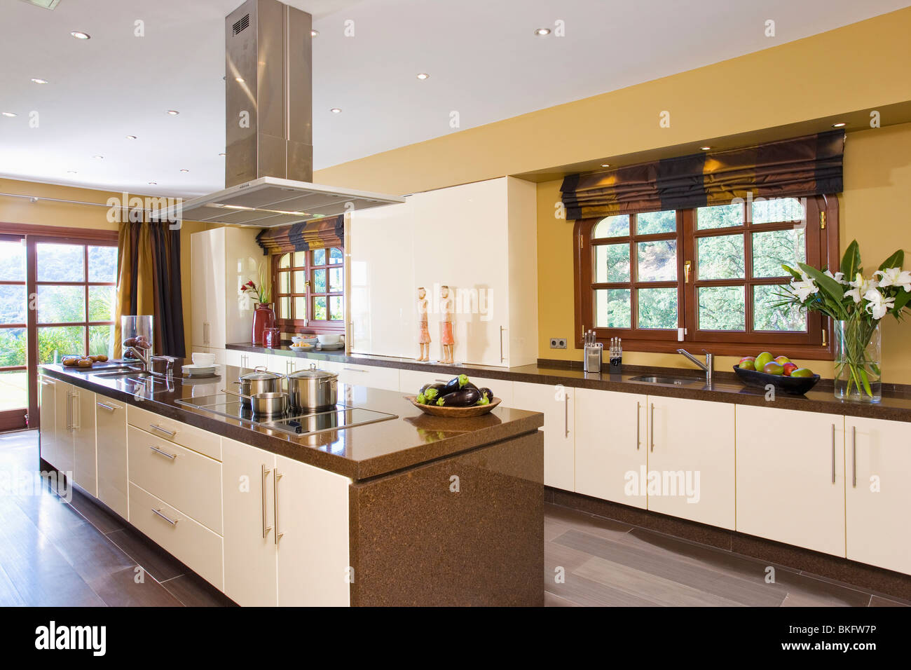 Stainlesssteel extractor above long island unit in modern yellow