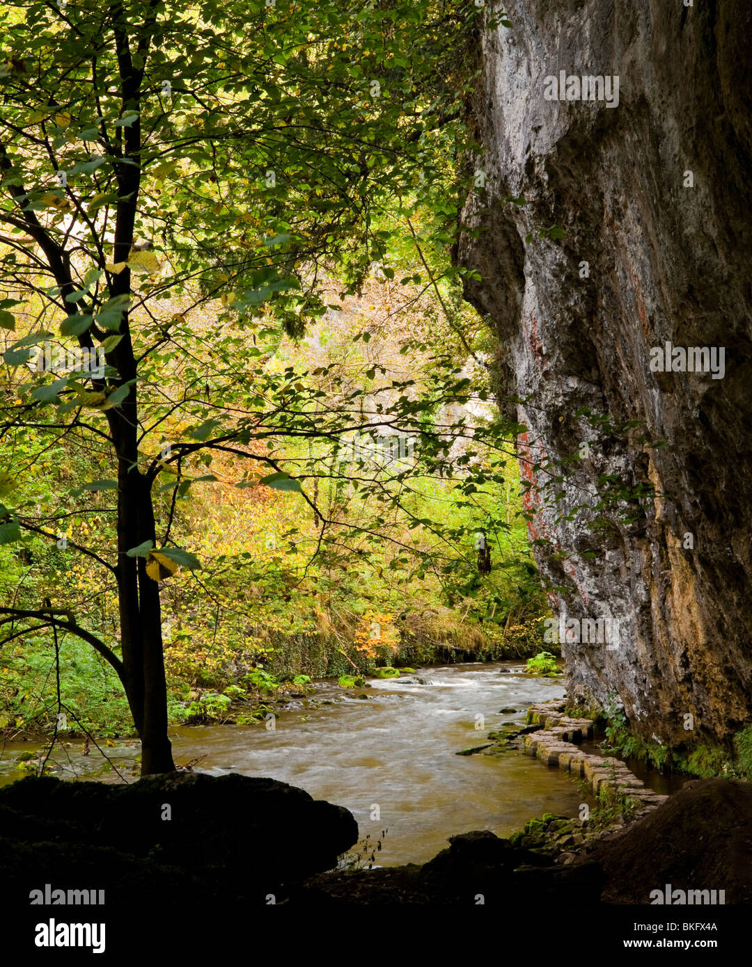 River Wye with cliff visible behind at Chee Dale near Bakewell in the Peak District National Park Derbyshire England Stock Photo