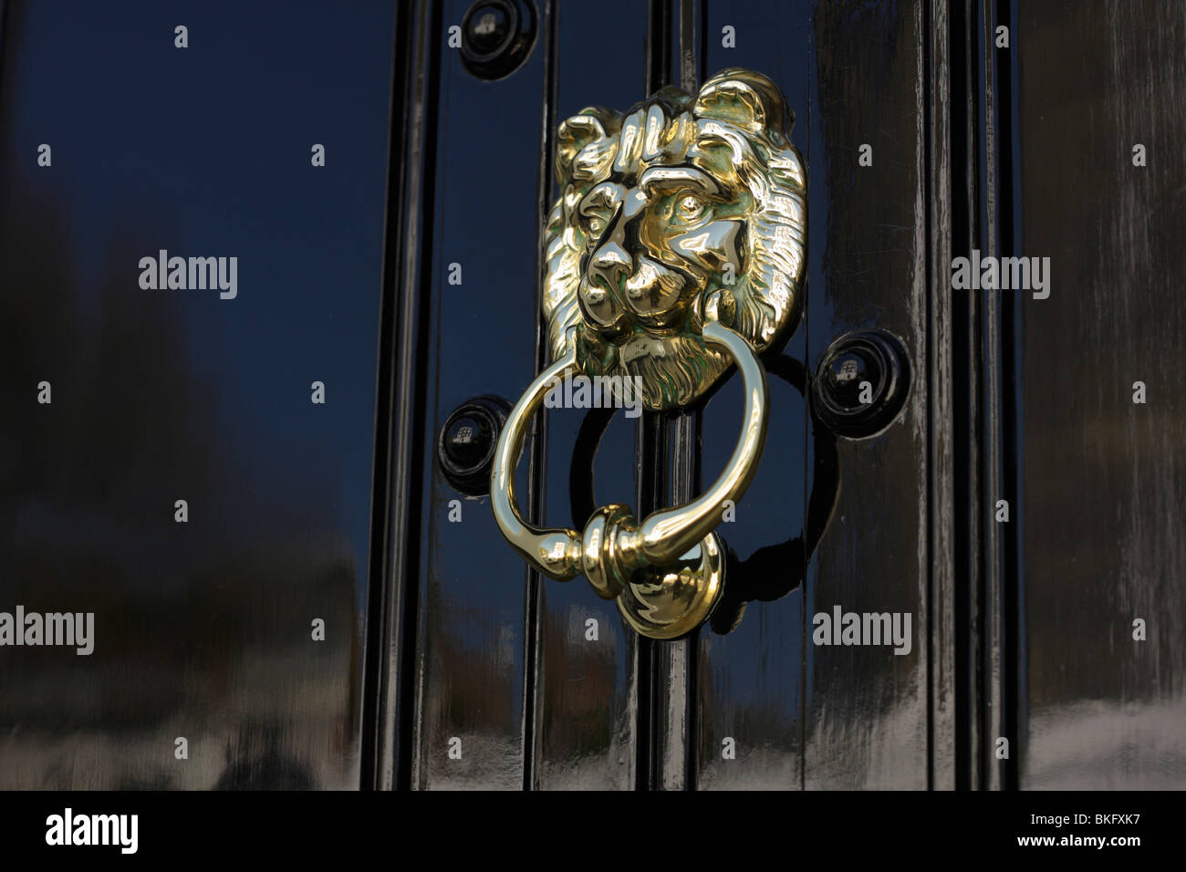 Highly polished brass door knocker Stock Photo Alamy