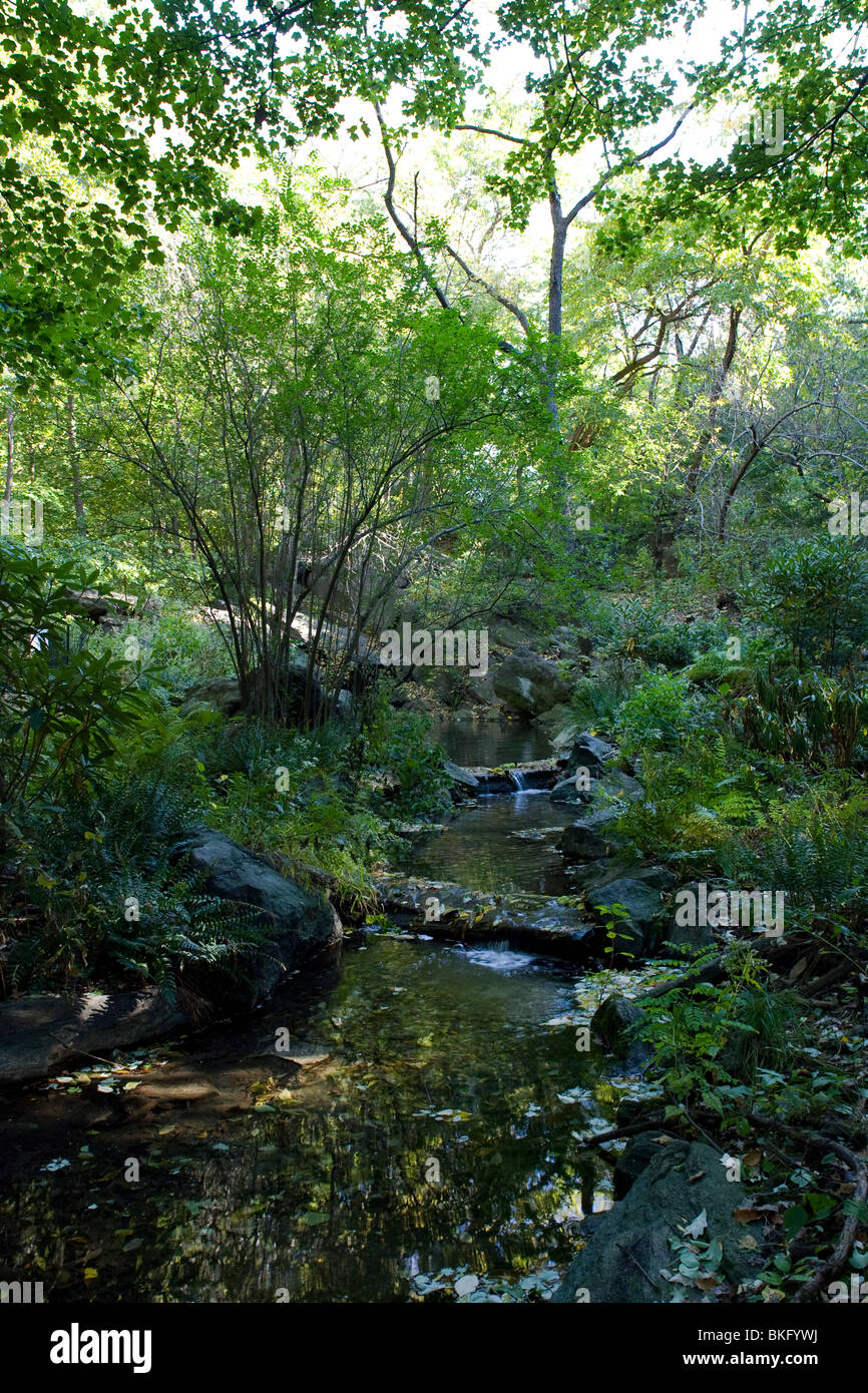 The Gill in the Ramble of Central Park, New York City, New York Stock