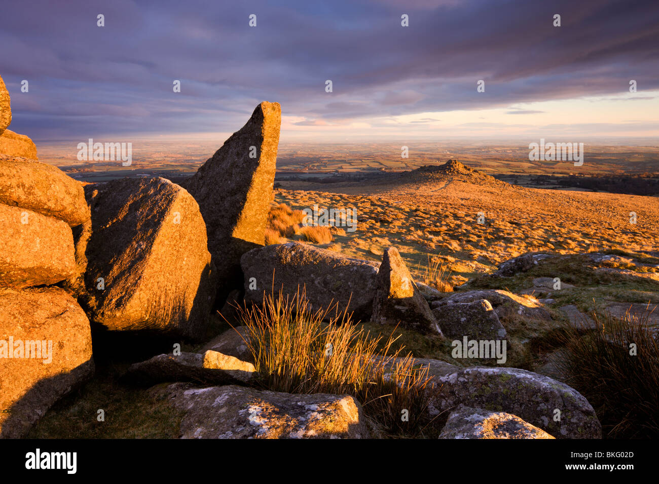Golden sunshine glows against the granite outcrops at Belstone Tor, Dartmoor National Park, Devon, England. Stock Photo