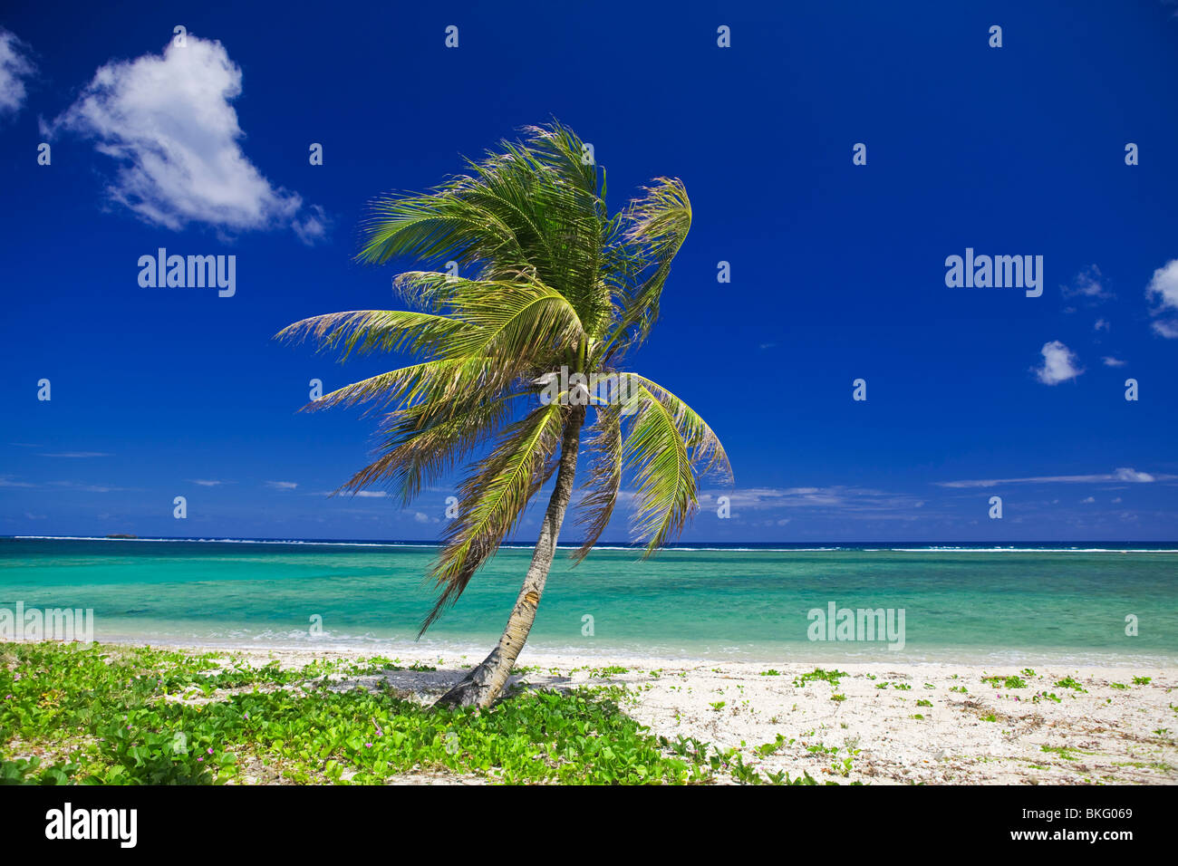 Tropical beach in Guam Stock Photo