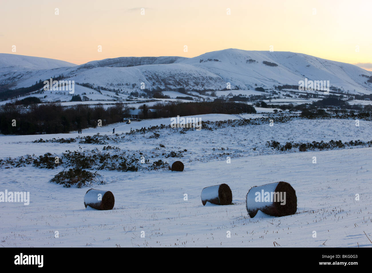 Snow covered bracken bales on Mynydd Illtud Common backed by snowy mountains, Brecon Beacons National Park, Powys, Wales, UK. Stock Photo