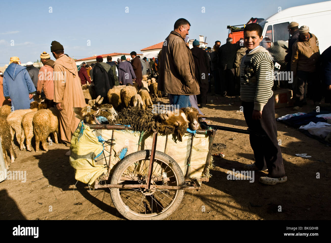 Market scene in the middle Atlas region of Morocco. Stock Photo
