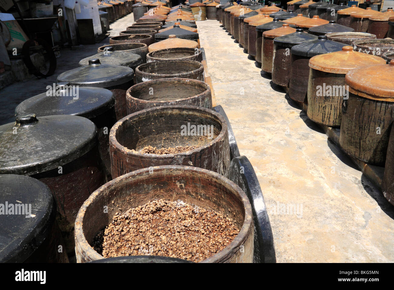 A traditional soy sauce factory showing soya beans fermenting in big