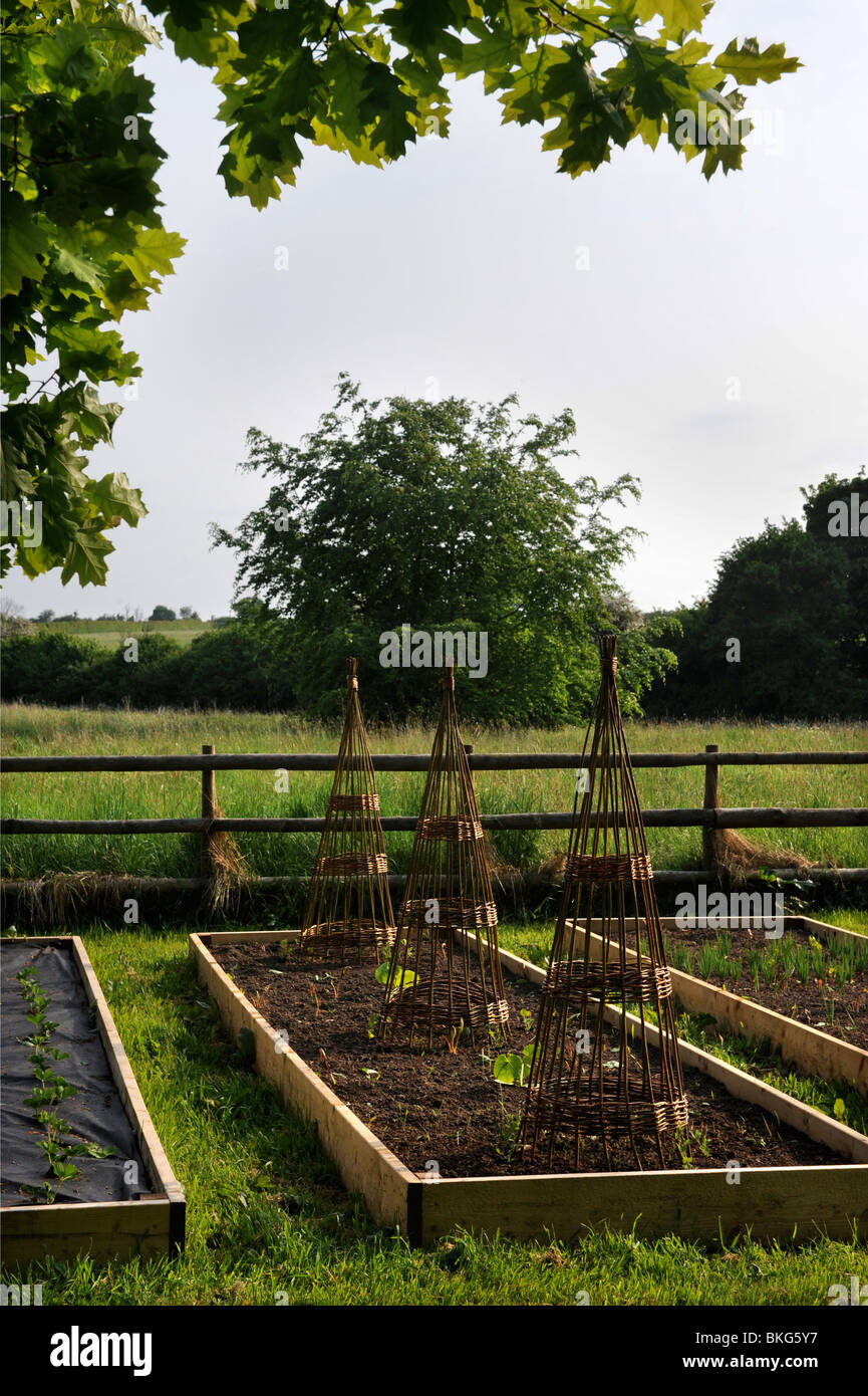 Raised vegetable beds with bean wigwam supports early in the growing season UK Stock Photo