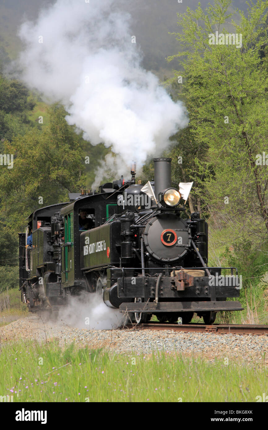 Mason County Logging #7 leads a freight train through Niles Canyon Stock Photo