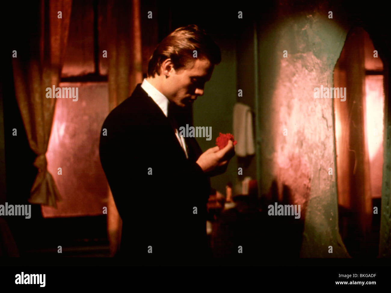 THE FAN 1981 MICHAEL BIEHN Stock Photo Alamy