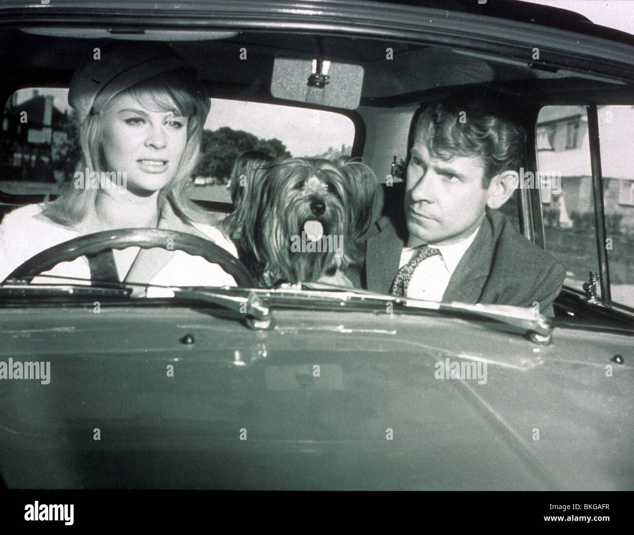THE FAST LADY (1962) JULIE CHRISTIE, STANLEY BAXTER FLDY 001 Stock Photo