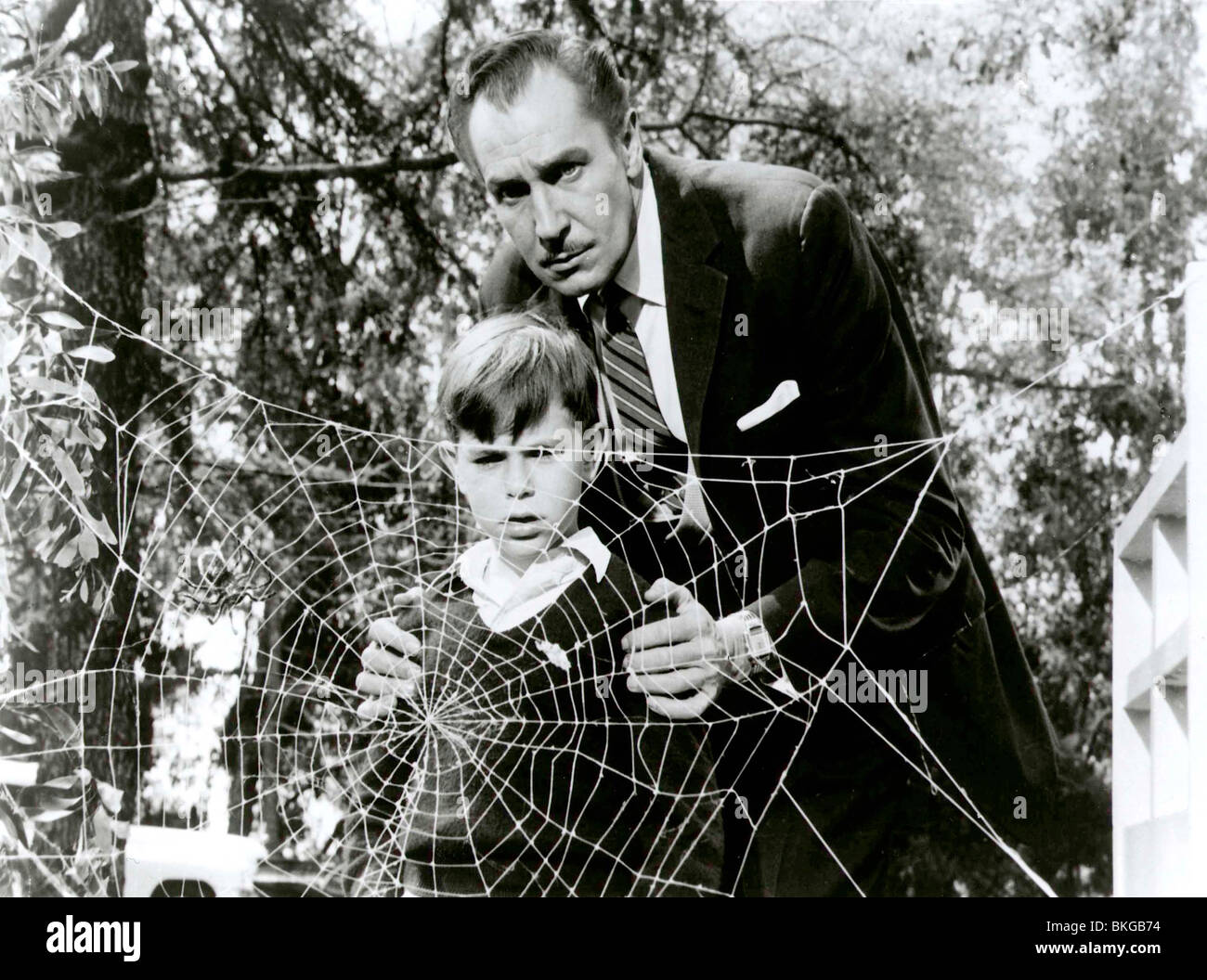 THE FLY (1958) CHARLES HERBERT, VINCENT PRICE TFLY 003 P Stock Photo