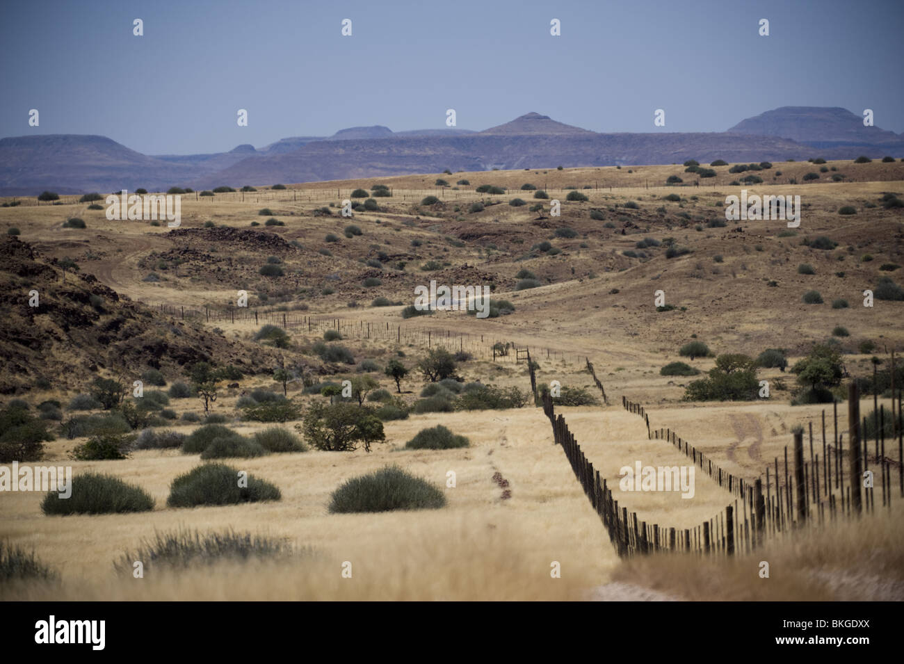 Vet fence that transects Namibia from the Skeleton Coast to Botswana. Stock Photo