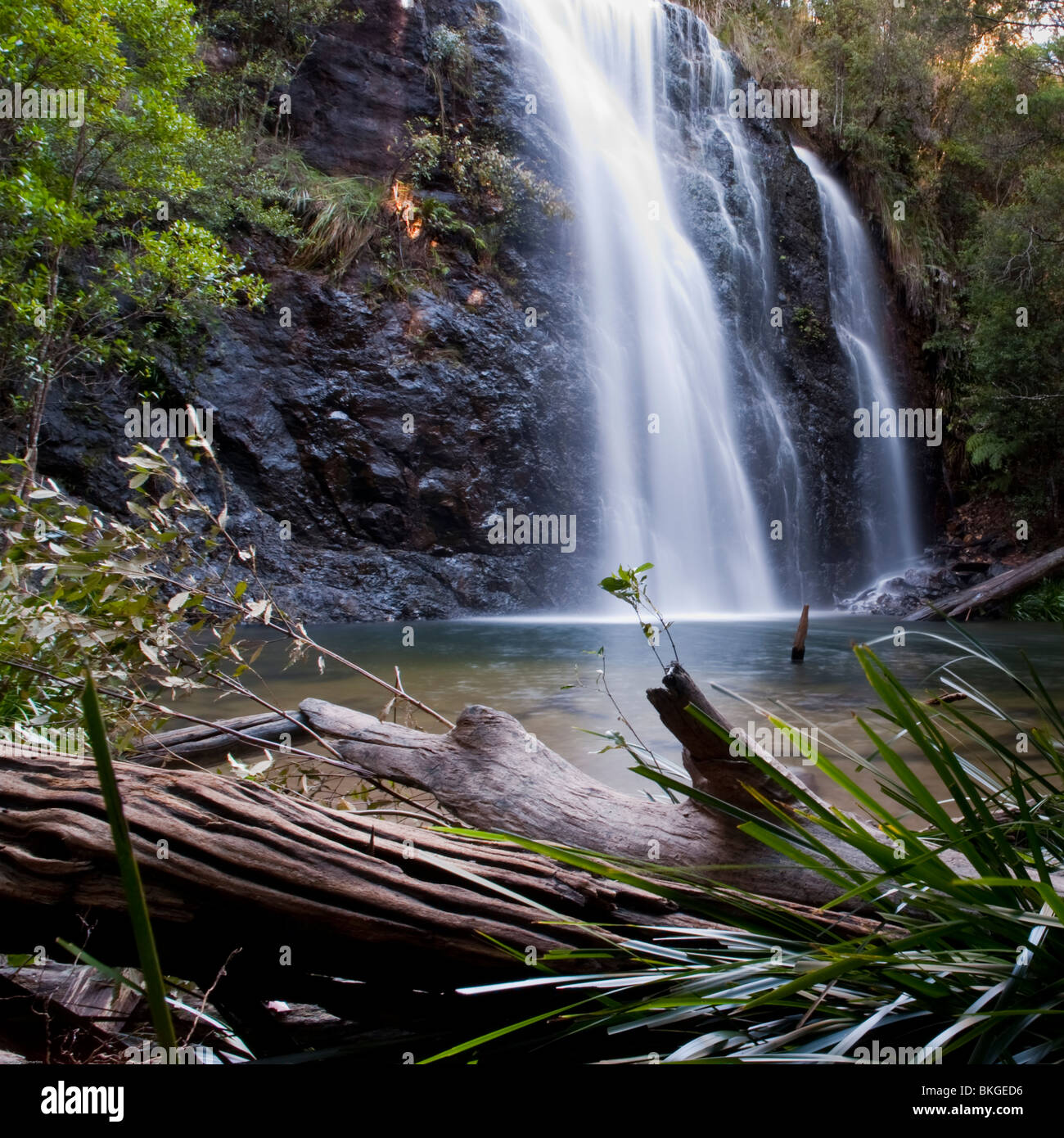 New England National Park