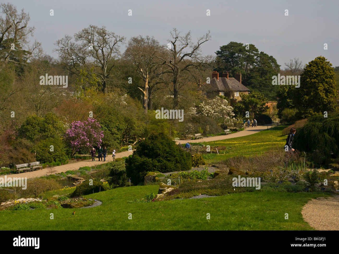 A View Over The Alpine Meadow RHS Wisley Gardens Surrey England Stock Photo