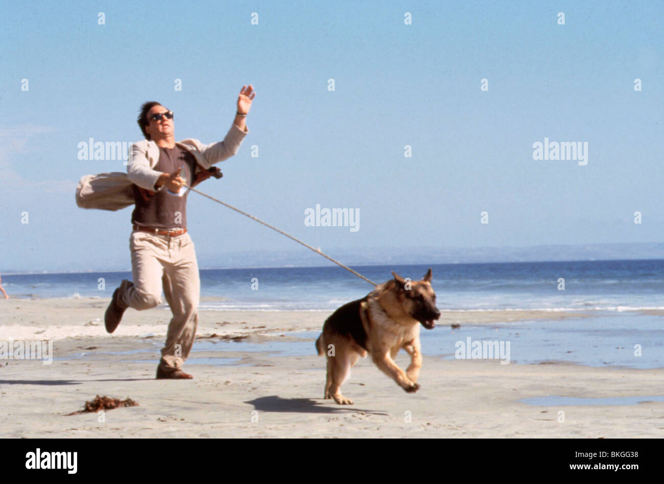 K-9 -1989 K9 (ALT) JAMES BELUSHI Stock Photo