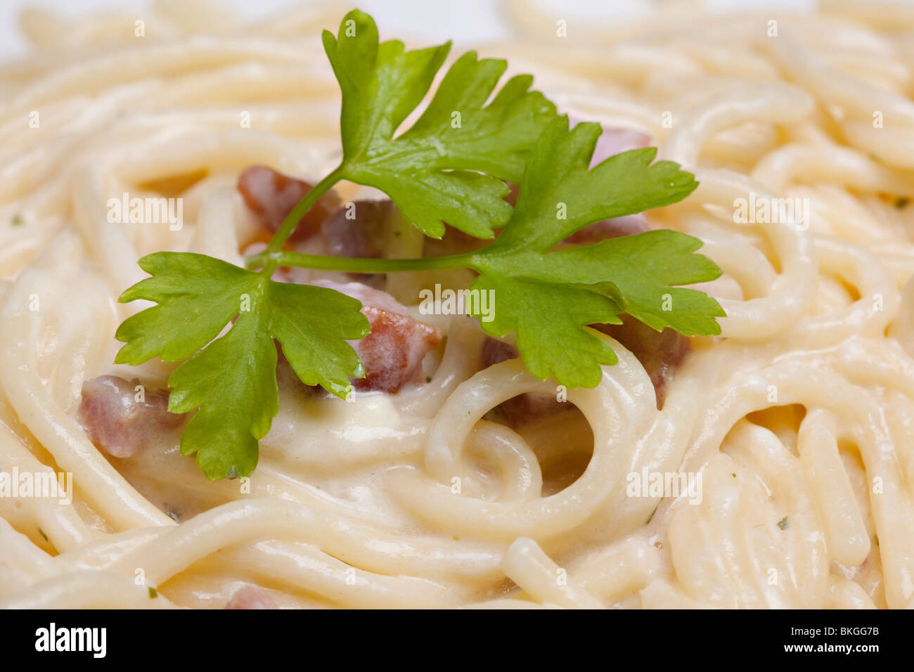 Spaghetti carbonara, italian pasta with parmesan Stock Photo
