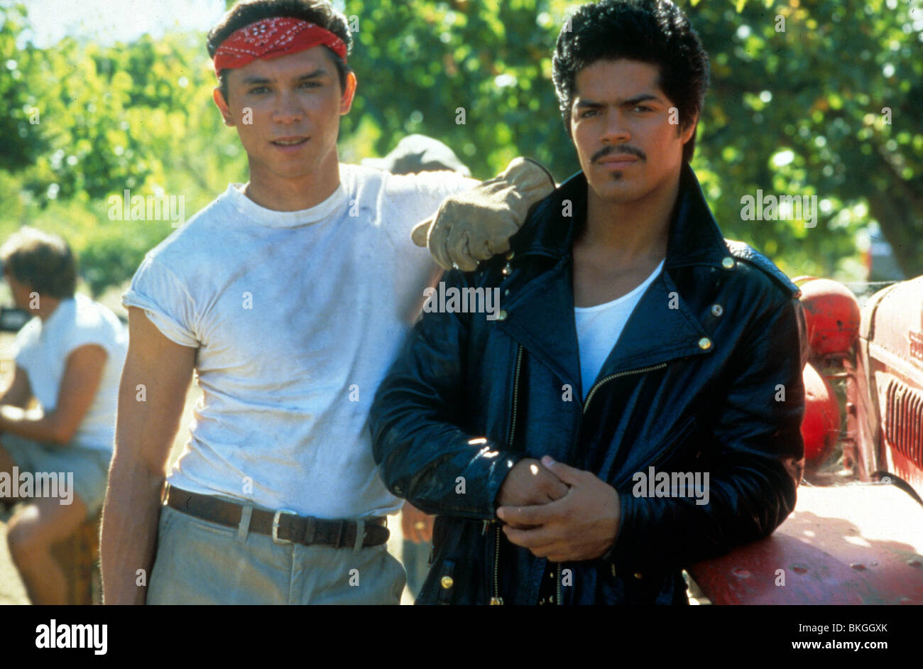 LA BAMBA (1987) LOU DIAMOND PHILLIPS, ESAI MORALES LBM 004 Stock Photo