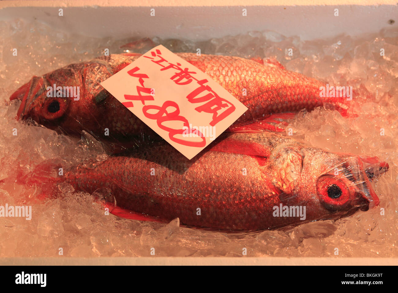 Shiro's Sushi Restaurant - Kinmedai (golden eye snapper) is a unique fish  with huge eyes to see in the deep waters surrounding Tokyo, particularly in  Kanagawa and Shizuoka prefectures. To prepare this