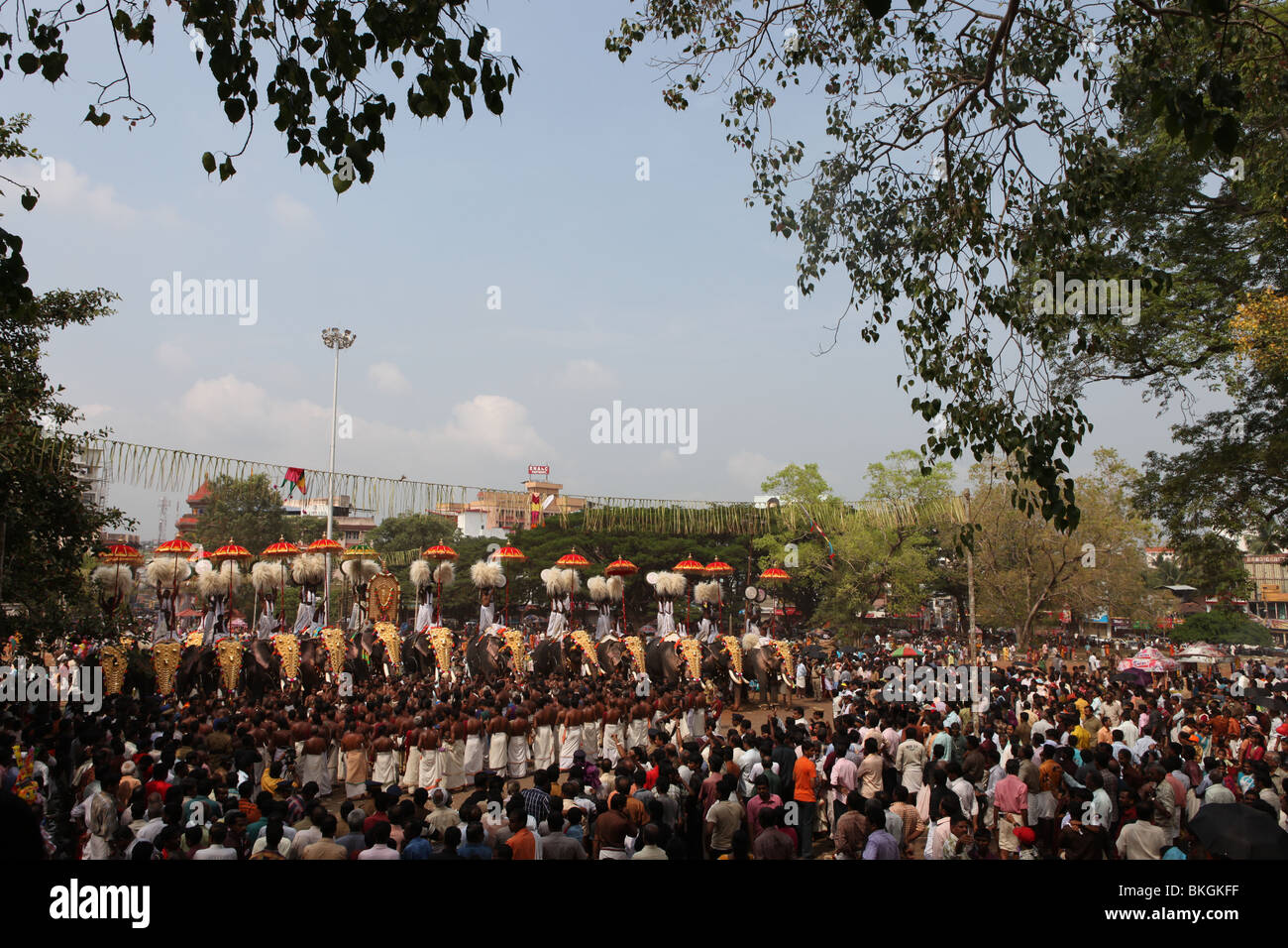 thrissur pooram festival with caparisoned elephants,colored umbrellas.drum play attracting huge crowd Stock Photo