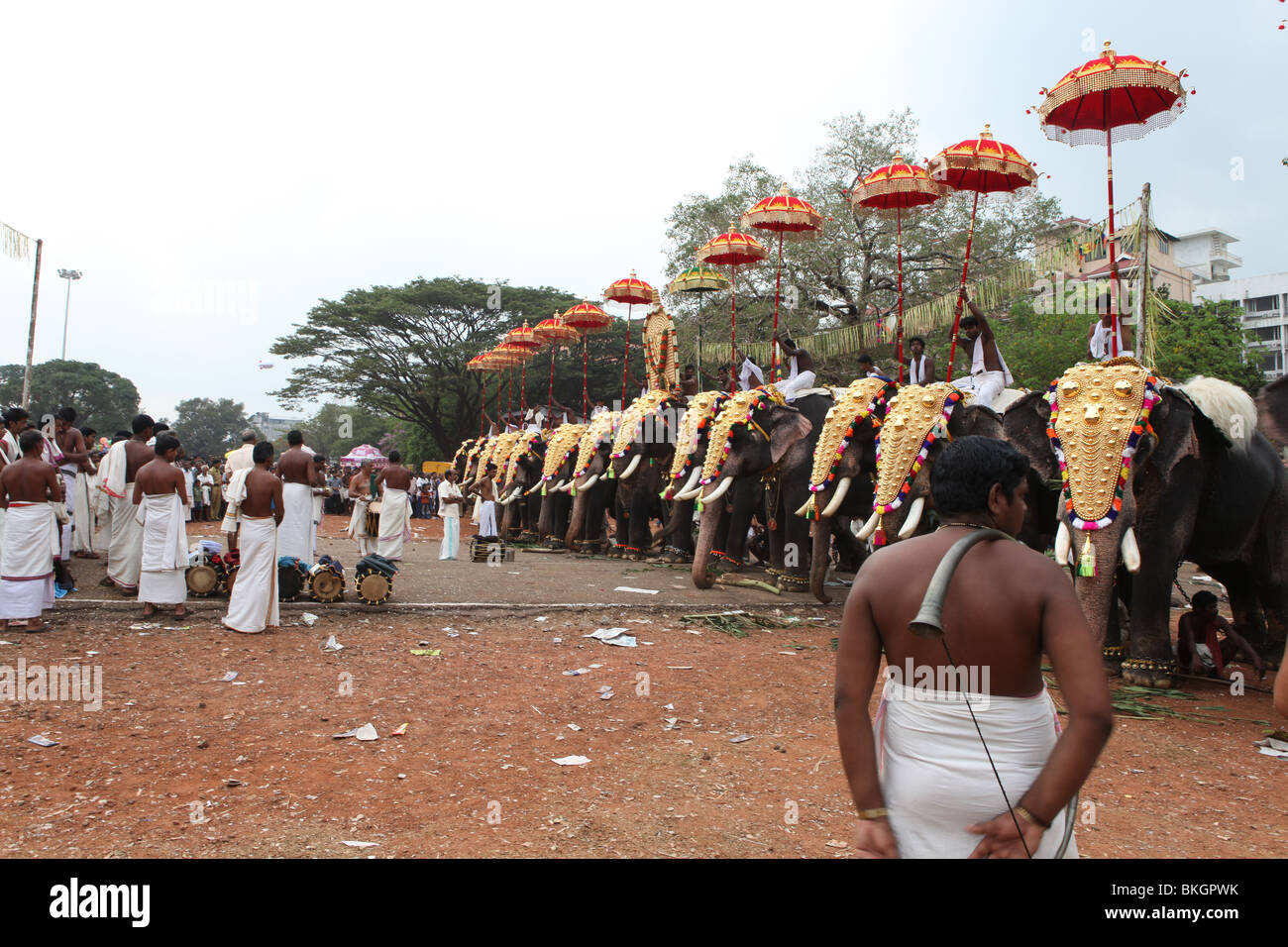 thrissur pooram festival with caparisoned elephants,colored umbrellas,drum playing Stock Photo